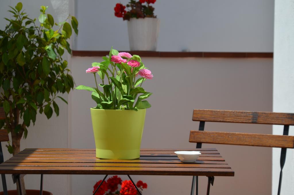גרנדה Apartamentos San Isidro 44 מראה חיצוני תמונה